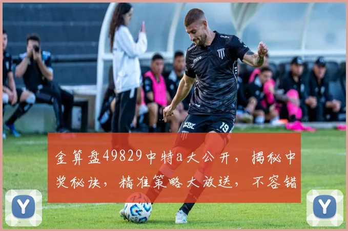 金算盘49829中特a大公开，揭秘中奖秘诀，精准策略大放送，不容错过