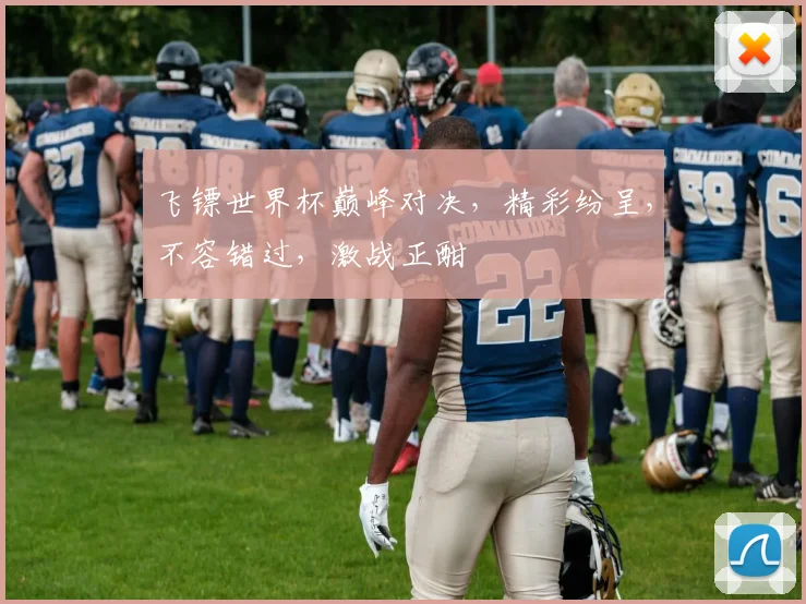 飞镖世界杯巅峰对决，精彩纷呈，不容错过，激战正酣