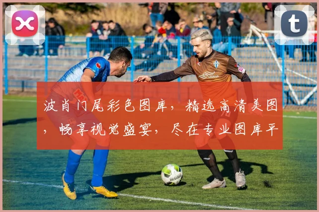波肖门尾彩色图库，精选高清美图，畅享视觉盛宴，尽在专业图库平台，不容错过
