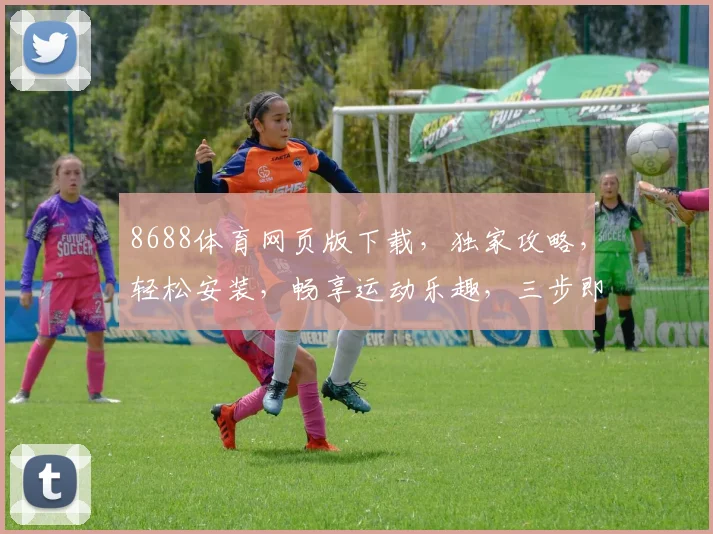 8688体育网页版下载，独家攻略，轻松安装，畅享运动乐趣，三步即可完成，快来体验